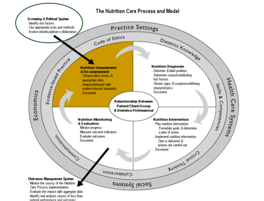 Nutrition Care Process and Model